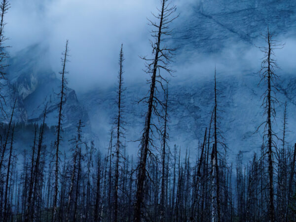 Moody landscape scene in the early morning at Jasper National Park, Canada