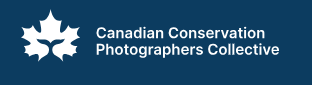 Canadian conservation photographers collective logo