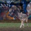 2025 Wildlife Calendar