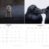 2025 Wildlife Calendar - Image 2