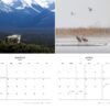 2025 Wildlife Calendar - Image 3