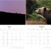 2025 Wildlife Calendar - Image 5