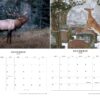 2025 Wildlife Calendar - Image 7