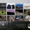2025 Wildlife Calendar - Image 8