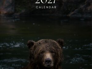 Wildlife Calendar cover - grizzly bear in water
